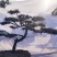 造型松造型黑松景观松泰山松邻水斜飘油松赤松