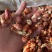龙虾尾麻辣龙虾尾特级虾尾