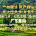 【厂家直销】甘草榄卫榄果脯橄榄果量大价优10斤装