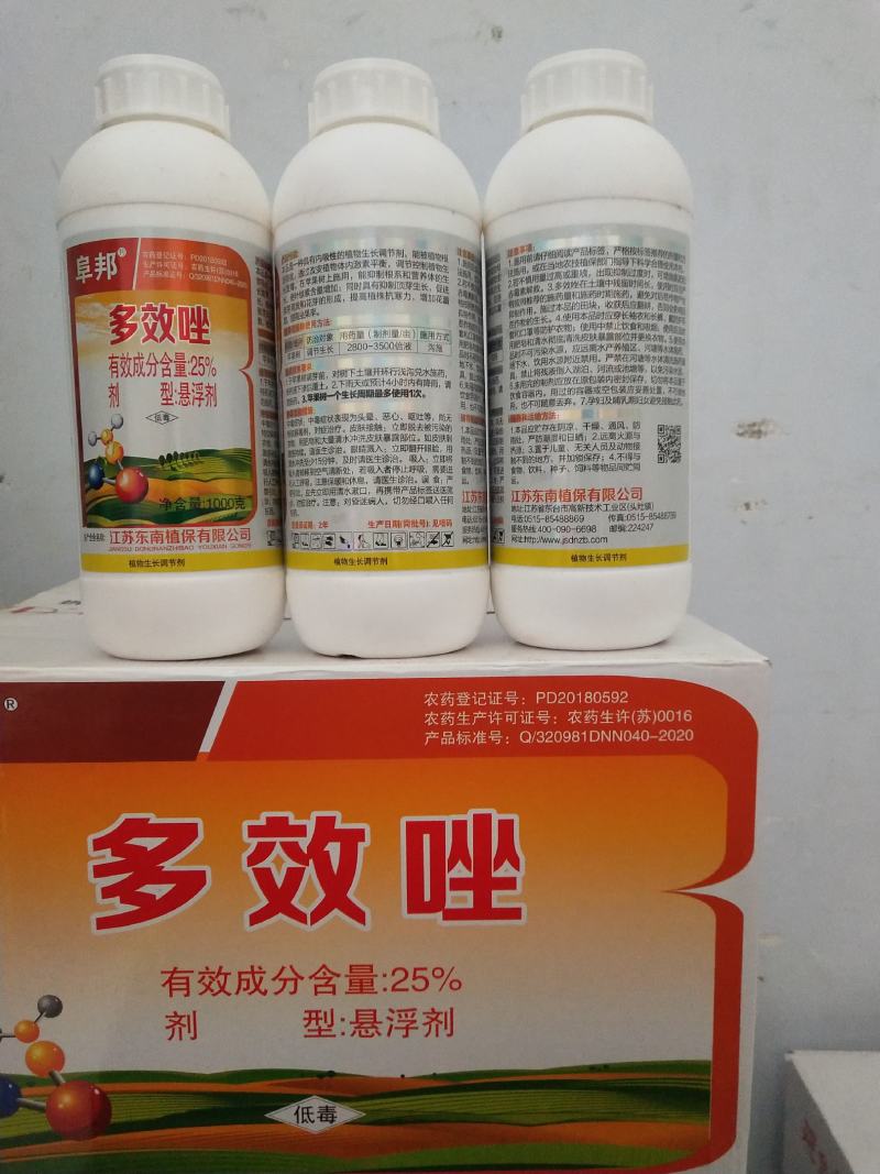 15%多效唑控旺茎秆伸长，缩短节间促植物分蘖