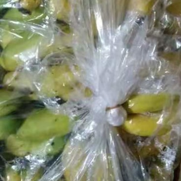 小焦，肥度好就是果面不太完美