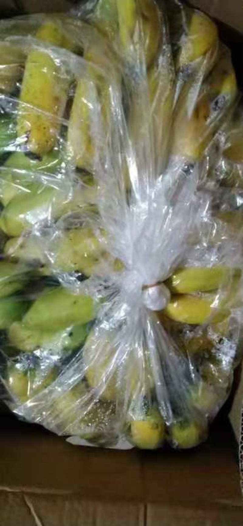 小焦，肥度好就是果面不太完美