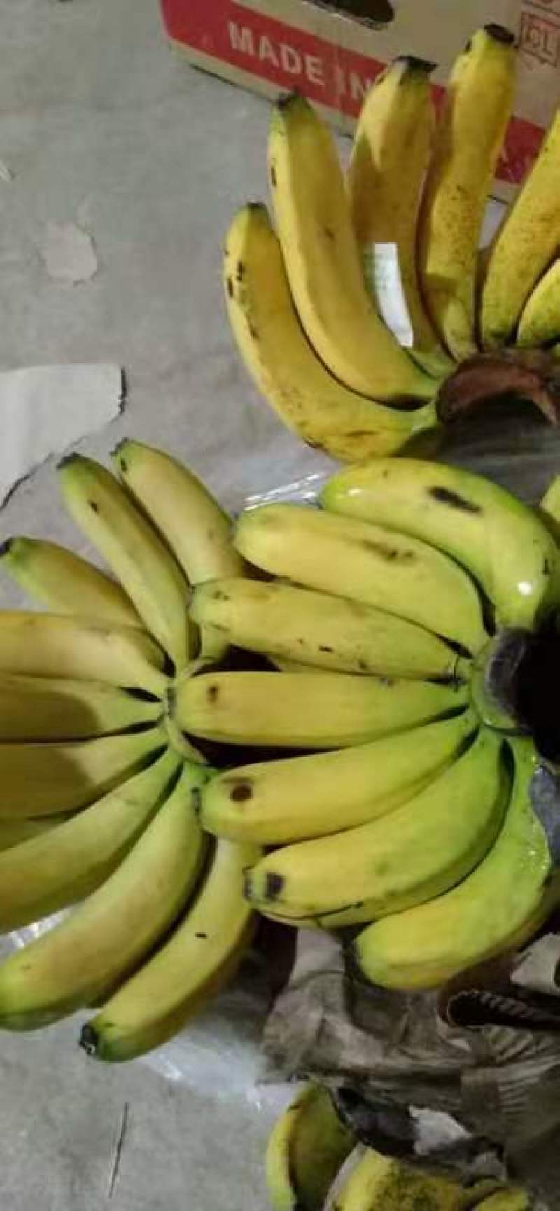 小焦，肥度好就是果面不太完美