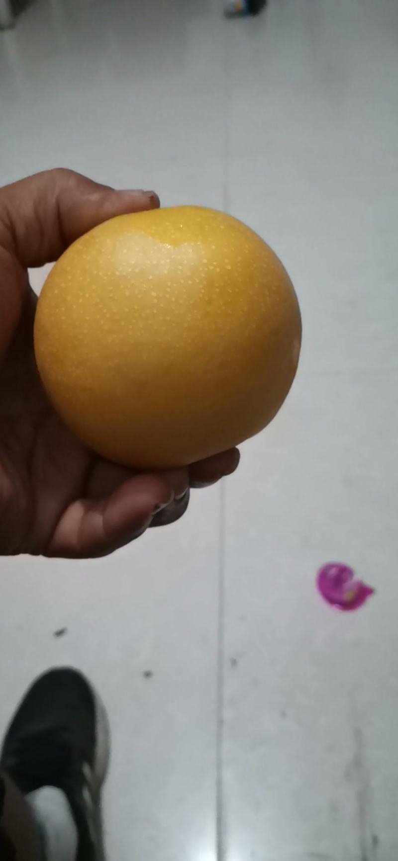 晚秋梨已经上市了，果面金黄色，肉质脆甜细腻，果个大品质好