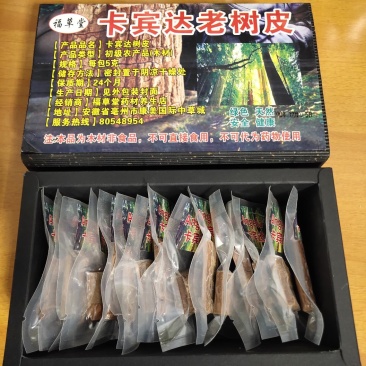 安哥拉卡宾达树皮老树皮