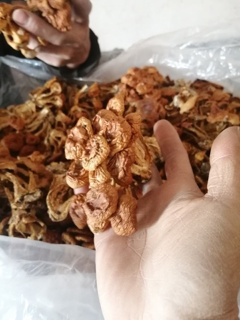 滑子菇小朵，整齐干净，颜色漂亮，价格美丽，