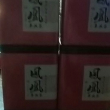 热销产品炭焙凤凰春大乌叶单丛茶品质好，果香味浓郁