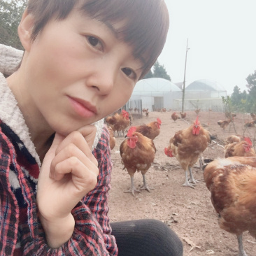 自家喂养粮食跑山鸡5个月