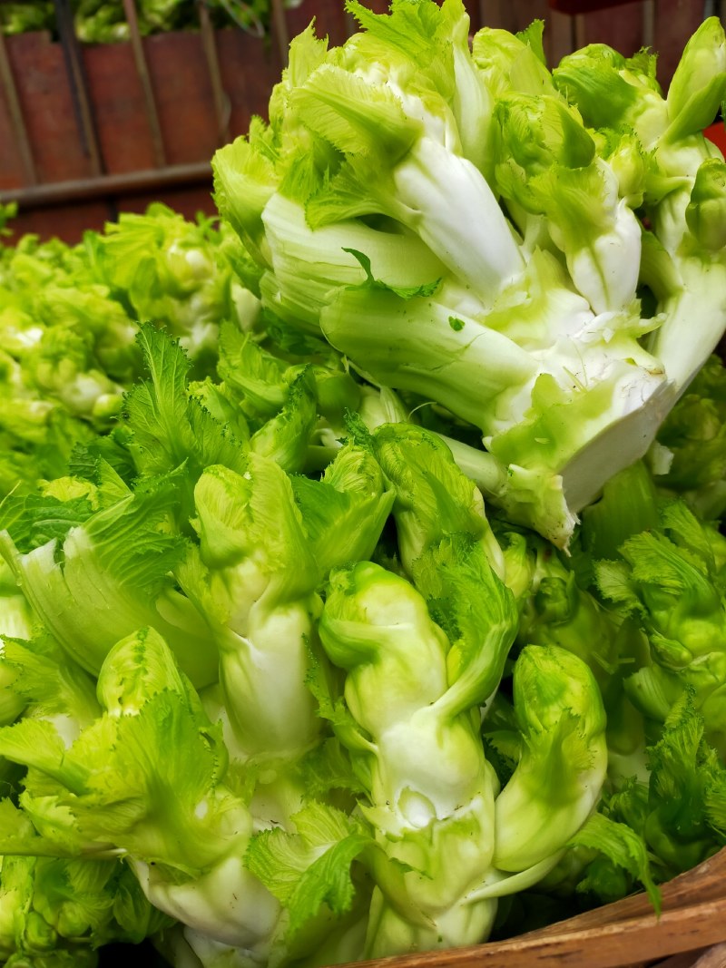 儿菜！儿菜！大量上市！！！棒菜！！！！榨菜！！！！！