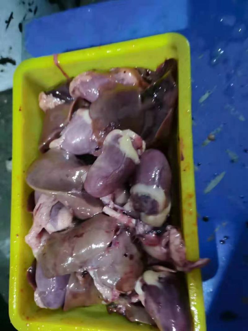 批发白条鸭白条鹅批发鸭肠鹅肠白条樱桃谷鹅肝鹅胗