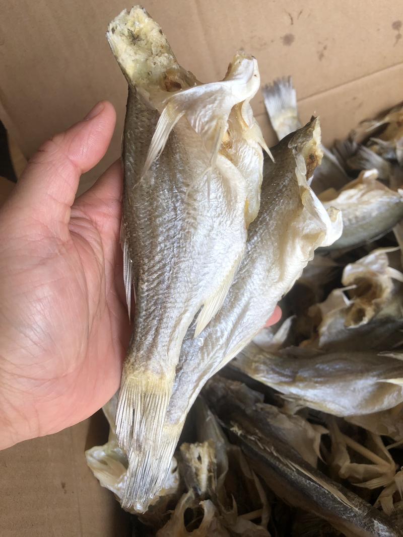 厂家货源去头淡水鱼干卢鱼肉加州鲈鱼干大量上市质量保证