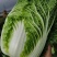 云南黄心大白菜，热卖中，无虫眼，无花心2斤到3斤现砍现卖