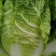 云南高原黄心大白菜，无虫眼，2斤3斤左右，现砍现卖