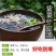 广西北海海水紫菜100g特产海鲜干货海产品野生海藻免洗