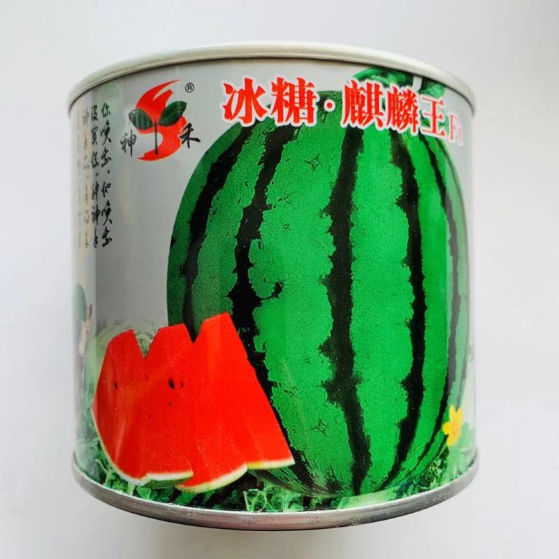 基地专用西瓜种子冰糖麒麟王西瓜种子高糖沙瓤多汁耐裂