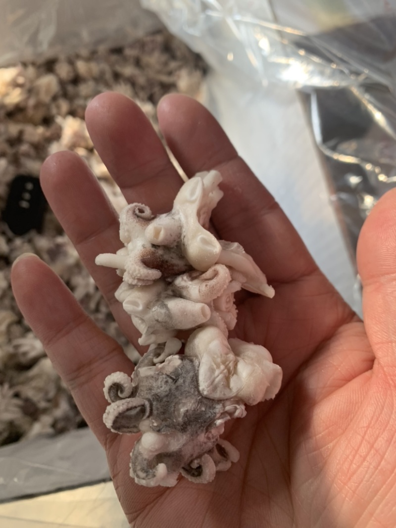 海菊花、墨鱼头，北海工厂一手直供，品质保证，价格实惠。