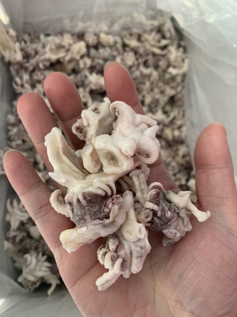 海菊花、墨鱼头，北海工厂一手直供，品质保证，价格实惠。