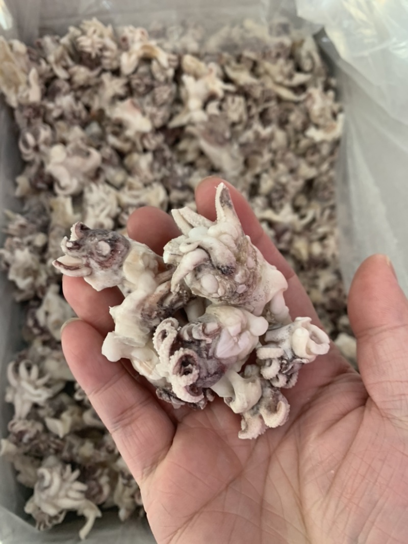 海菊花、墨鱼头，北海工厂一手直供，品质保证，价格实惠。