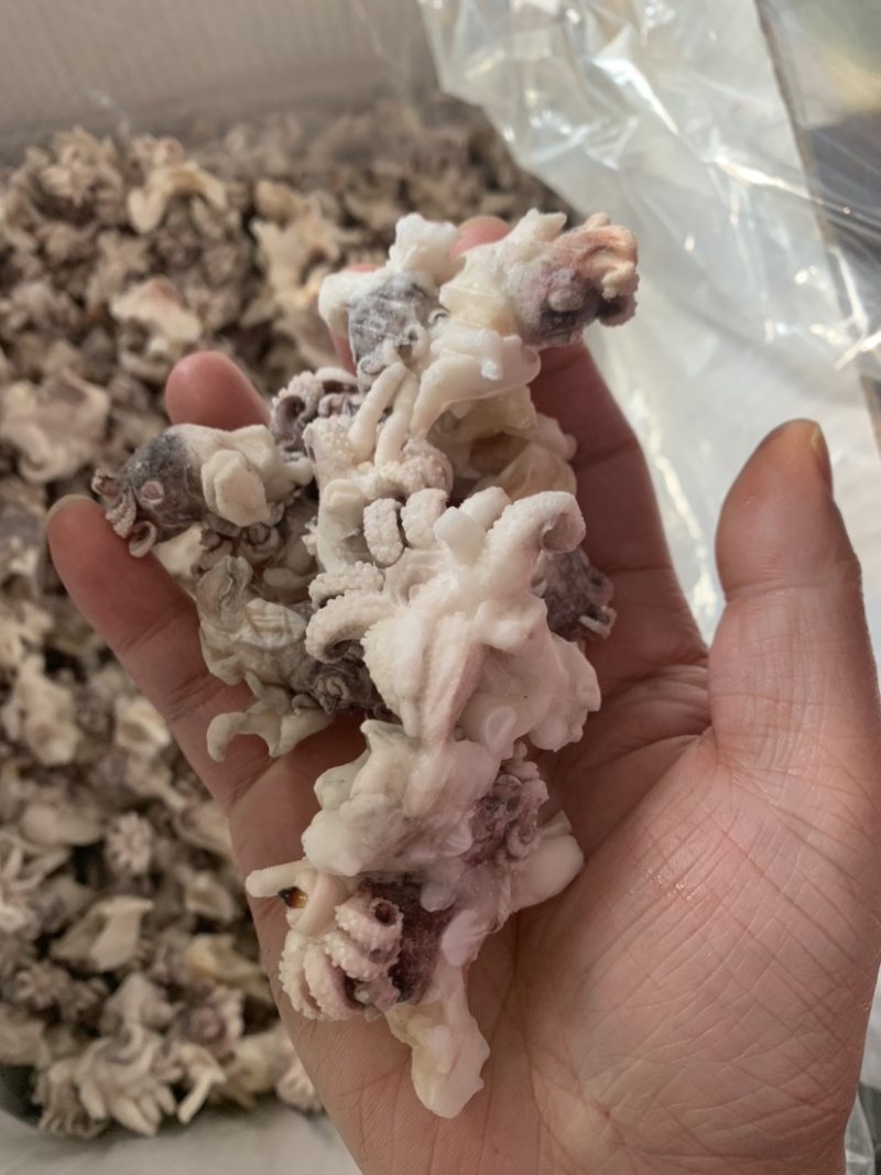 海菊花、墨鱼头，北海工厂一手直供，品质保证，价格实惠。
