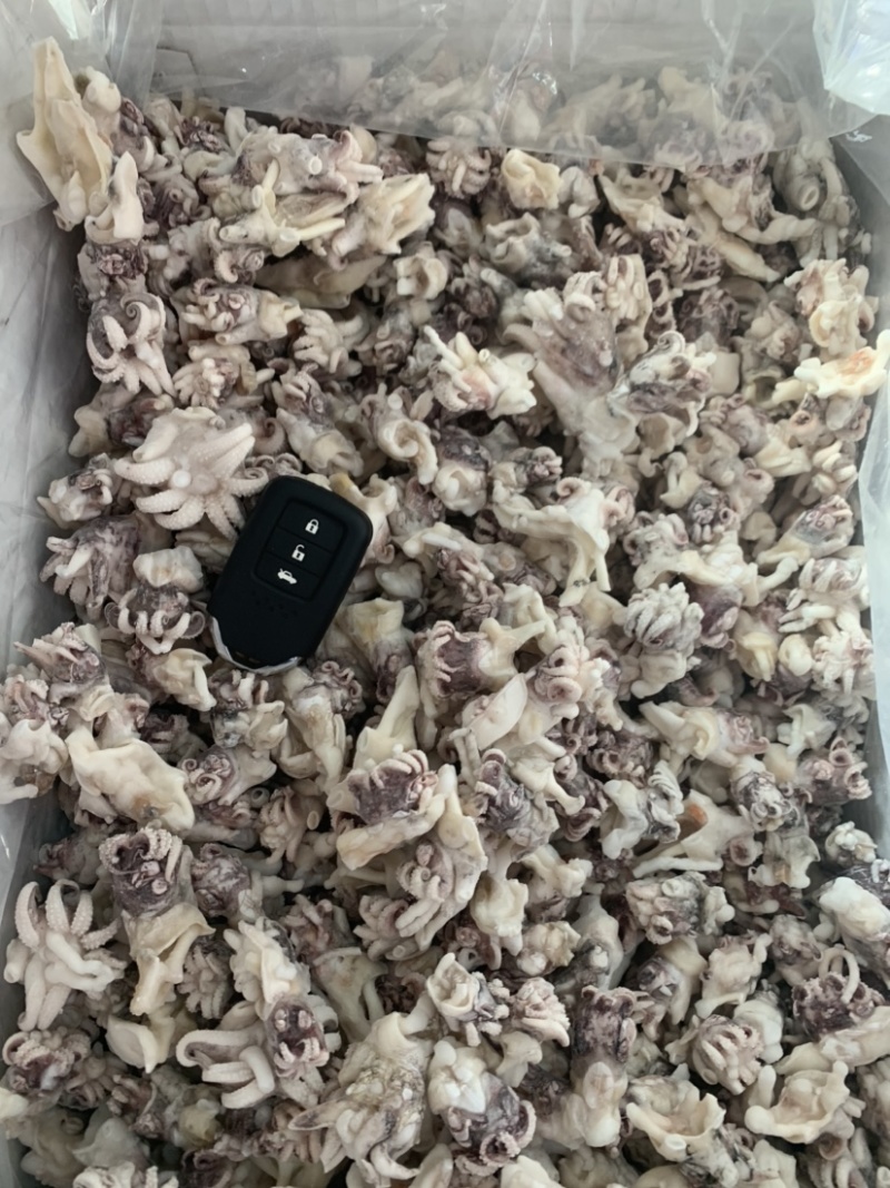 海菊花、墨鱼头，北海工厂一手直供，品质保证，价格实惠。