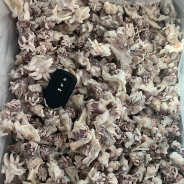 海菊花、墨鱼头，北海工厂一手直供，品质保证，价格实惠。