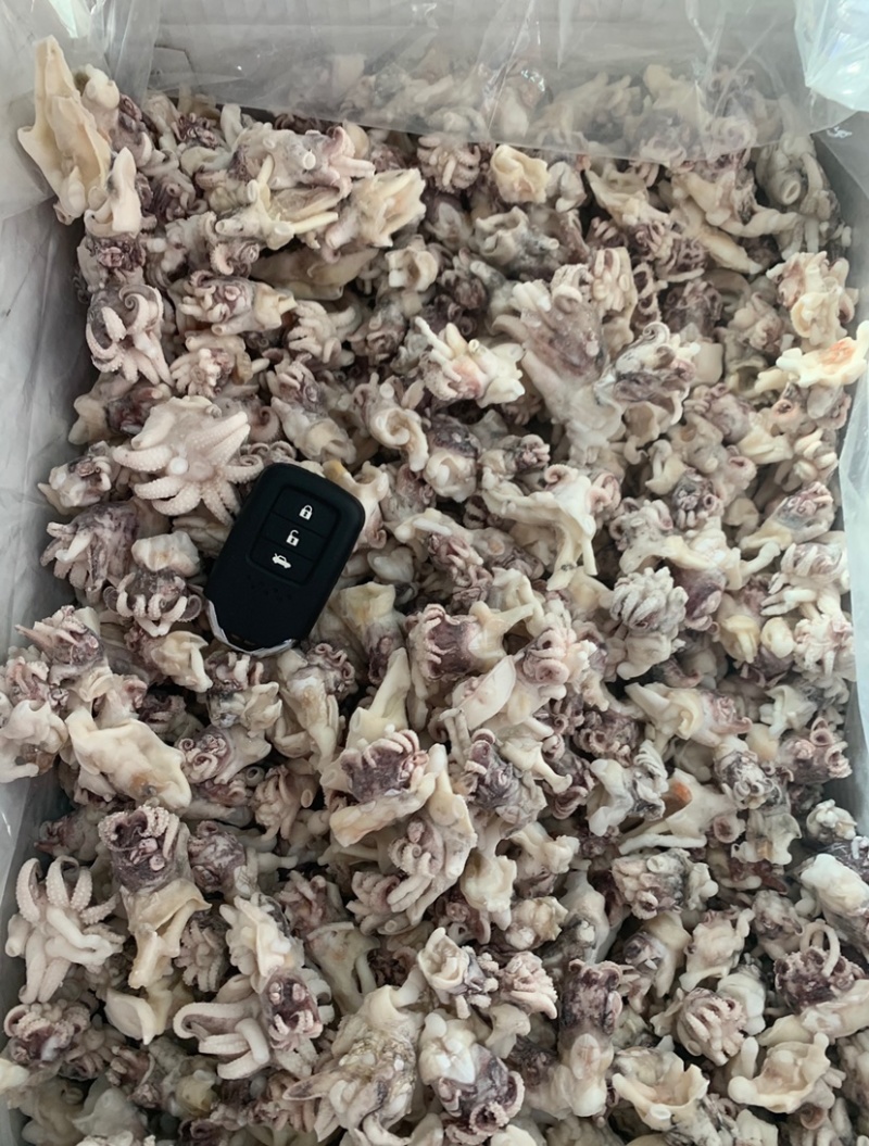 海菊花、墨鱼头，北海工厂一手直供，品质保证，价格实惠。