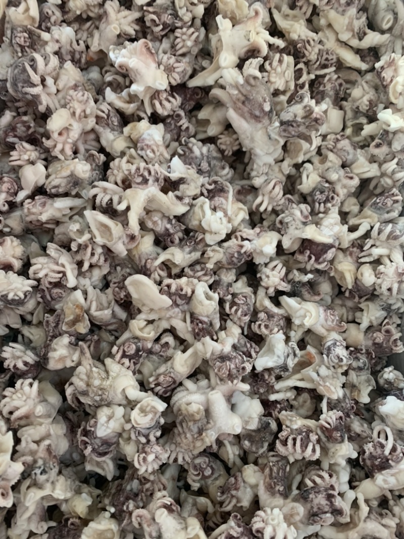 海菊花、墨鱼头，北海工厂一手直供，品质保证，价格实惠。