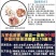 亚洲香水百合种球大花苗室内阳台四季开花盆栽植物花卉