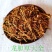 云南野生龙胆草统选片北龙胆草个片苦胆草龙胆整棵龙胆草