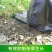 PE园艺地布农用大棚防草布园林果树遮草布盖草席保湿除草黑