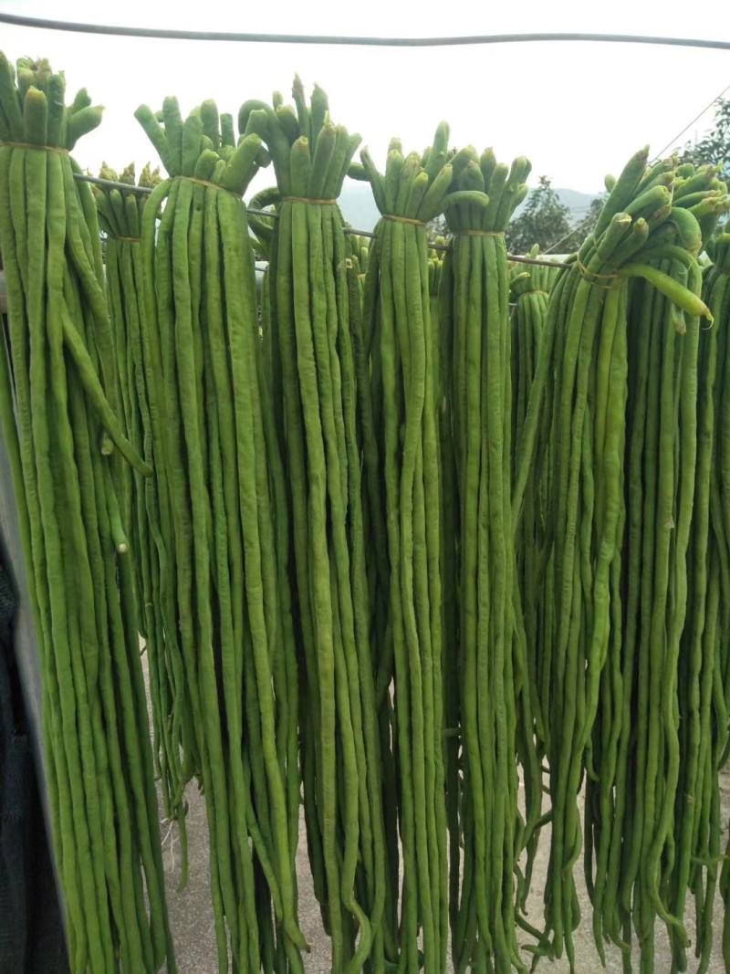 云南豇豆豆角干豆角段干豆角干货