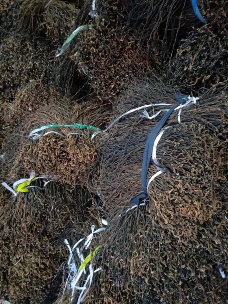 云南豇豆豆角干豆角段干豆角干货