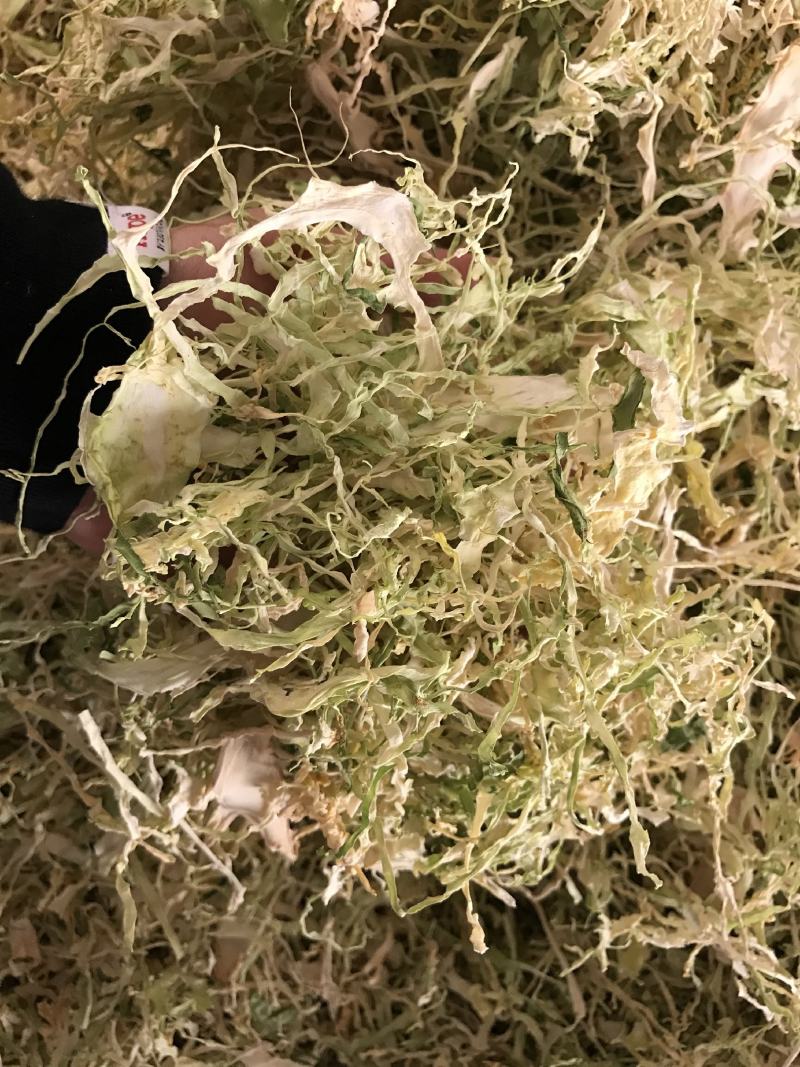 26年云南包菜丝梅干菜脱水蔬菜雪里红去芯包菜丝盐菜