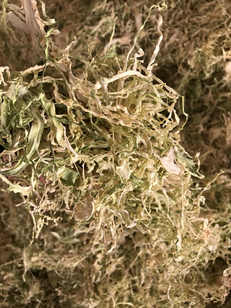 26年云南包菜丝梅干菜脱水蔬菜雪里红去芯包菜丝盐菜