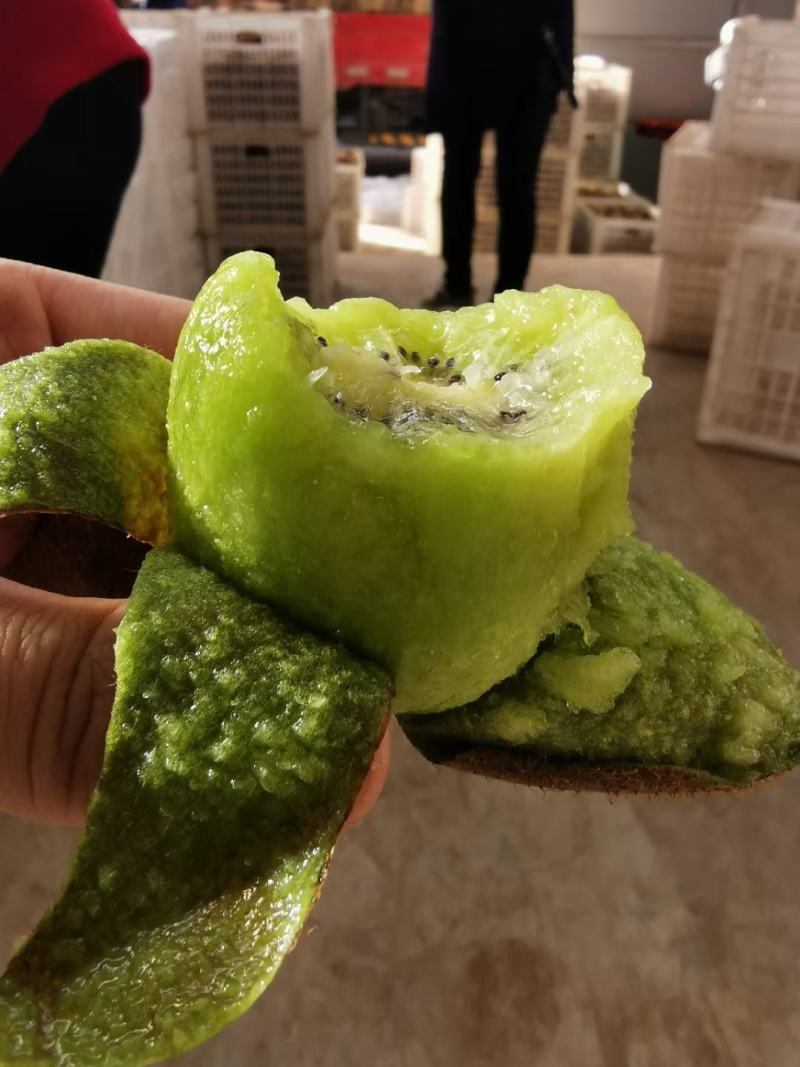 周至徐香猕猴桃，新鲜采摘，供应电商微商，水果超市批发零售