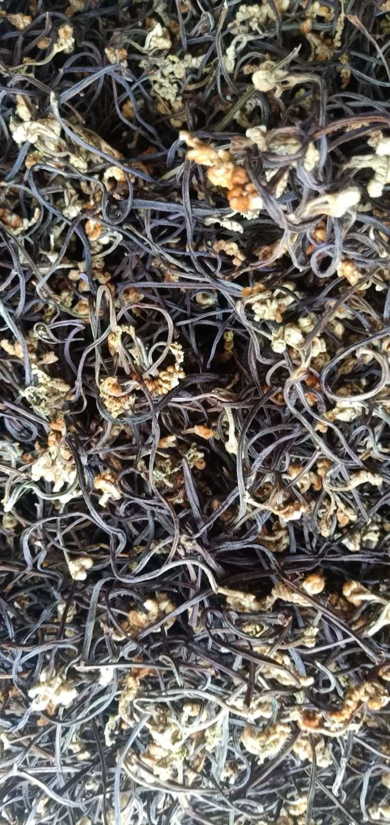 25年新货蕨菜干龙爪菜拳菜干菜脱水蔬菜