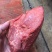 【酱牛肉】五香牛肉，牛尾龙趴，牛霖肉，牛烩扒，8成熟