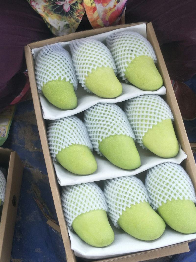 海南金煌芒口感好大小金煌