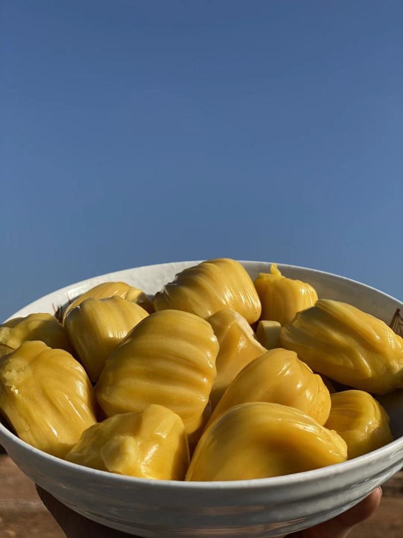 越南进口菠萝蜜出肉率高一件代发多种规格
