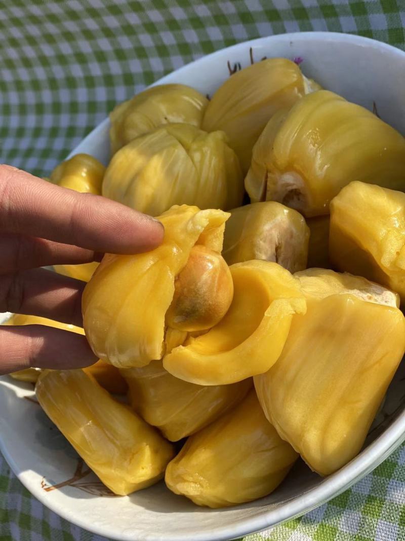 越南进口菠萝蜜出肉率高一件代发多种规格