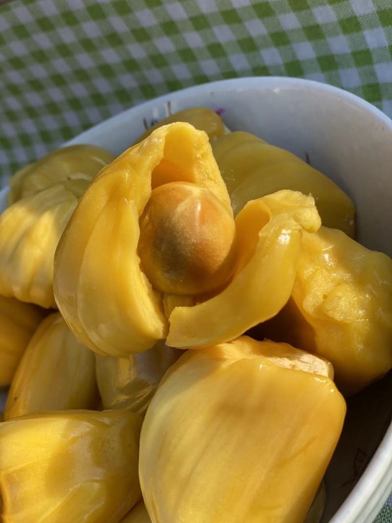 越南进口菠萝蜜出肉率高一件代发多种规格