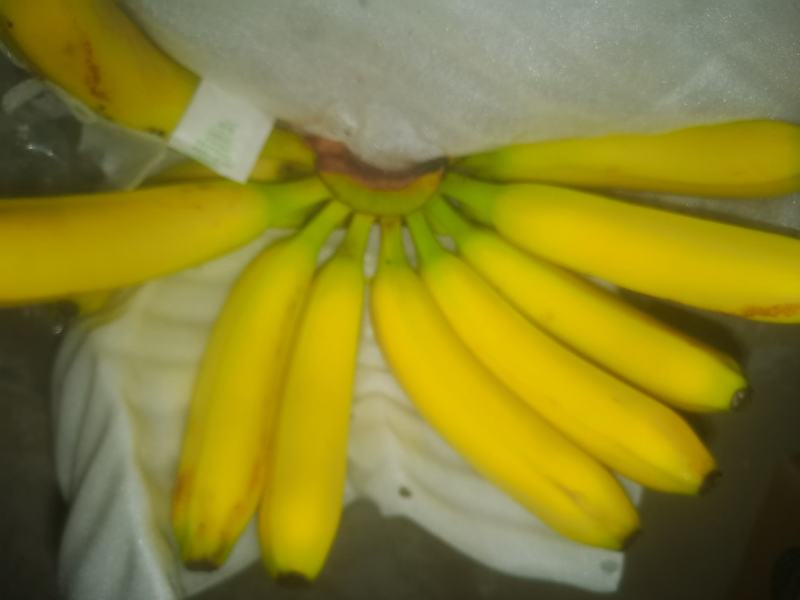 缅甸精品天地盖不受寒香蕉