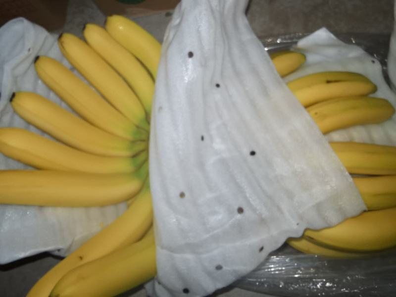 缅甸精品天地盖不受寒香蕉