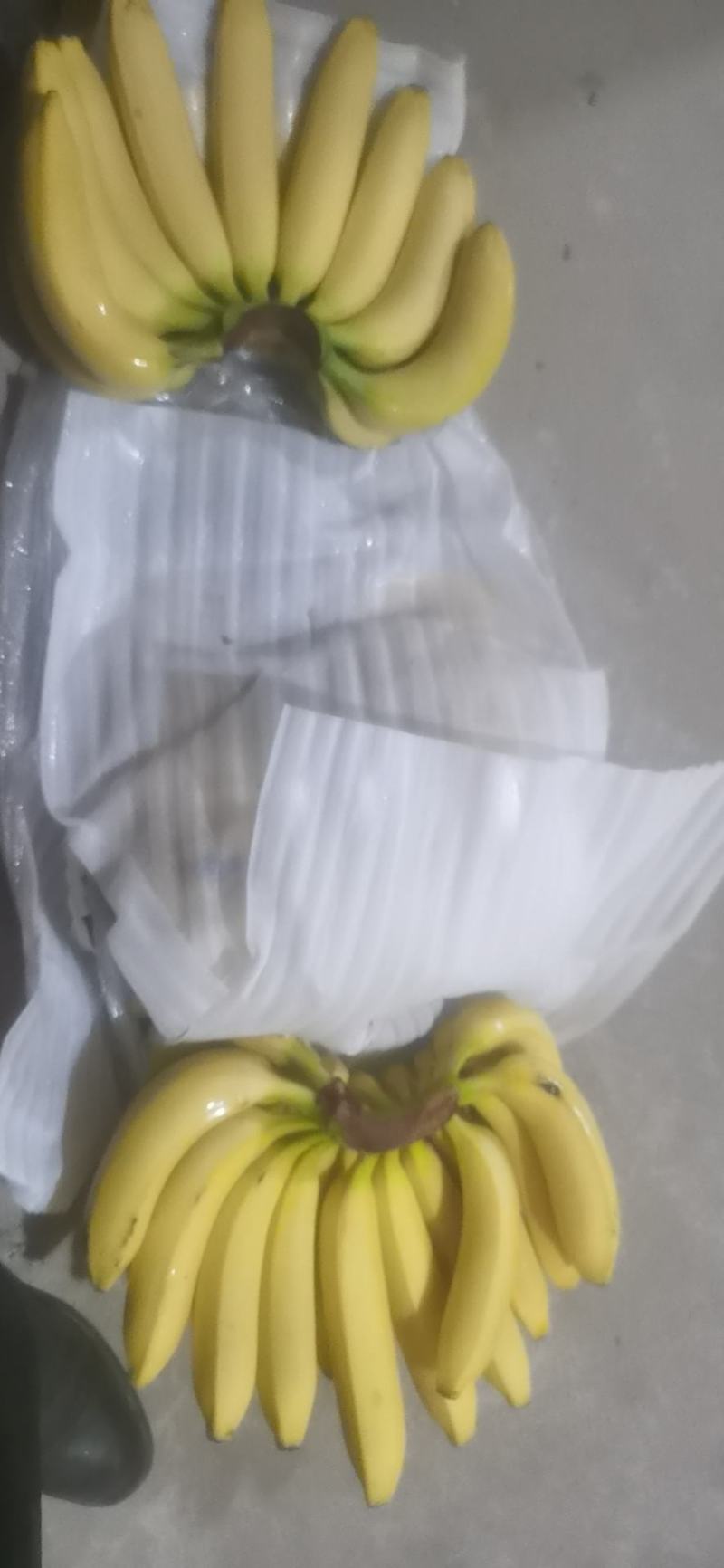 广西纯三把不受寒香蕉果面干净