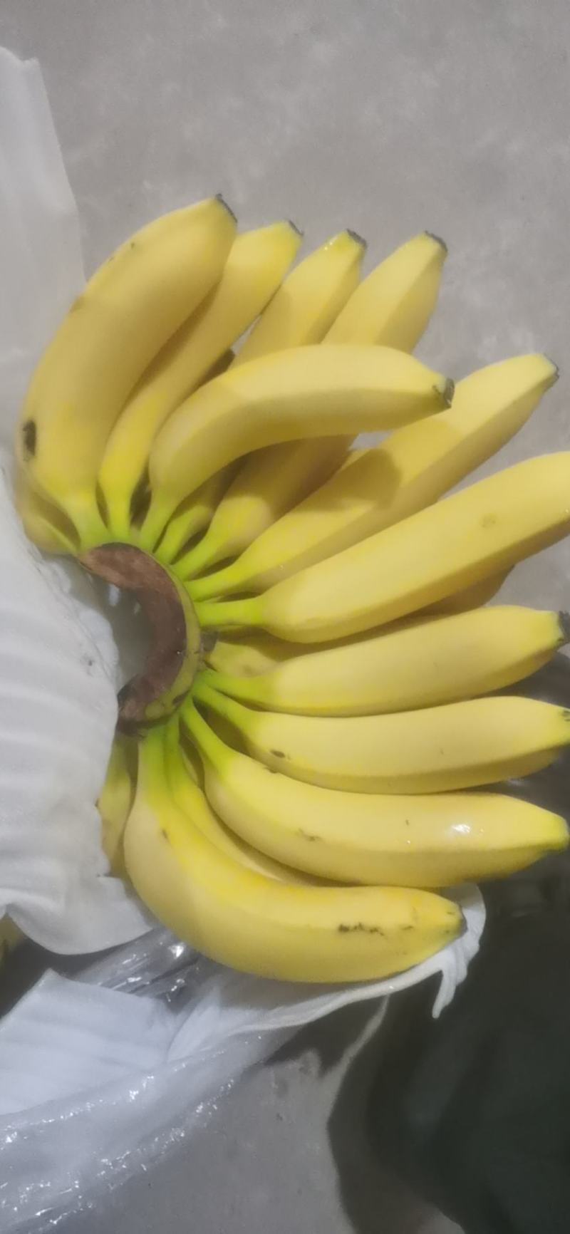 广西纯三把不受寒香蕉果面干净