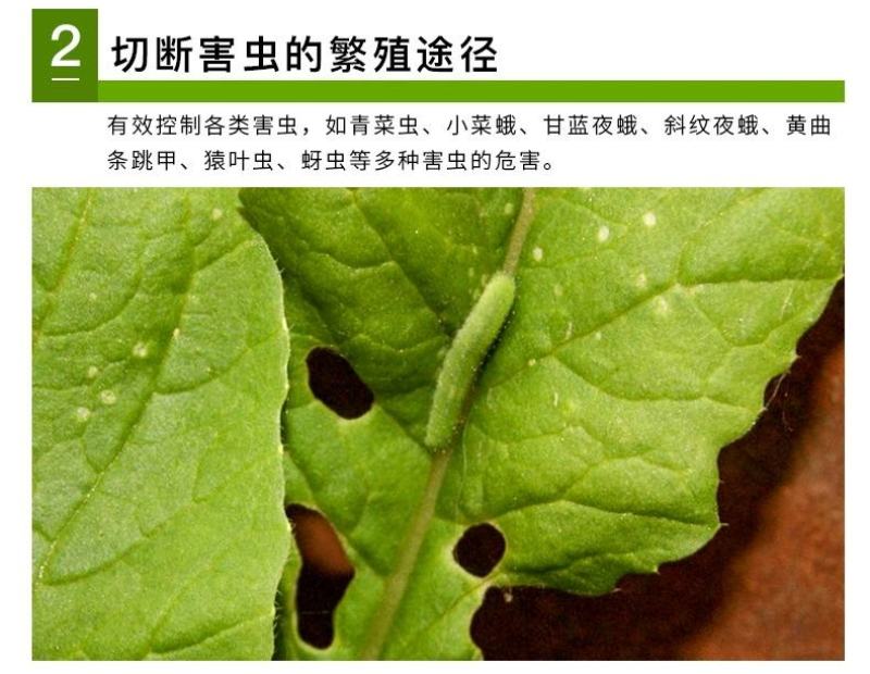 抗老化加厚大棚防虫网加密尼龙网养殖网脐橙莲雾蔬菜果树花卉