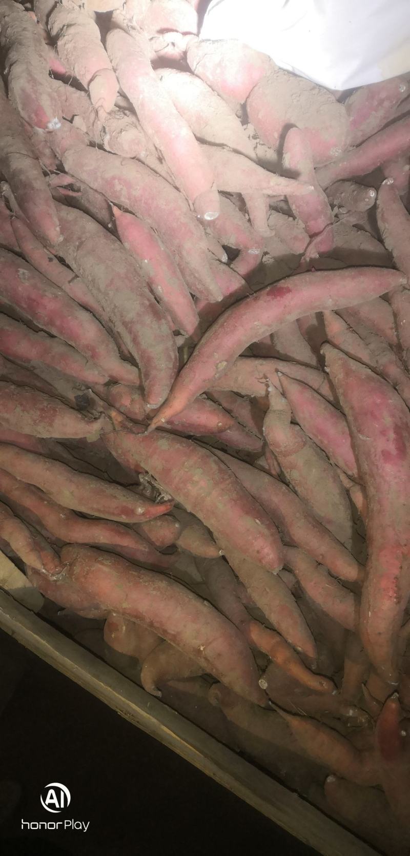 好货不等人唐山滦南西瓜红