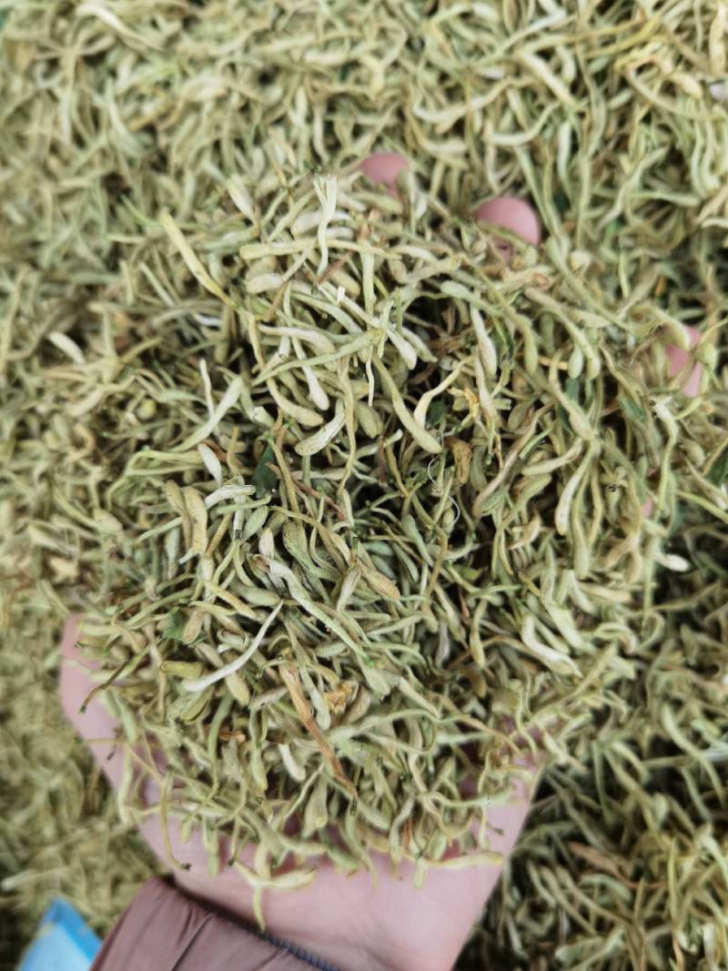 金银花山东湖南银花各种规格二花产地直销品质保证