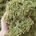 金银花山东湖南银花各种规格二花产地直销品质保证