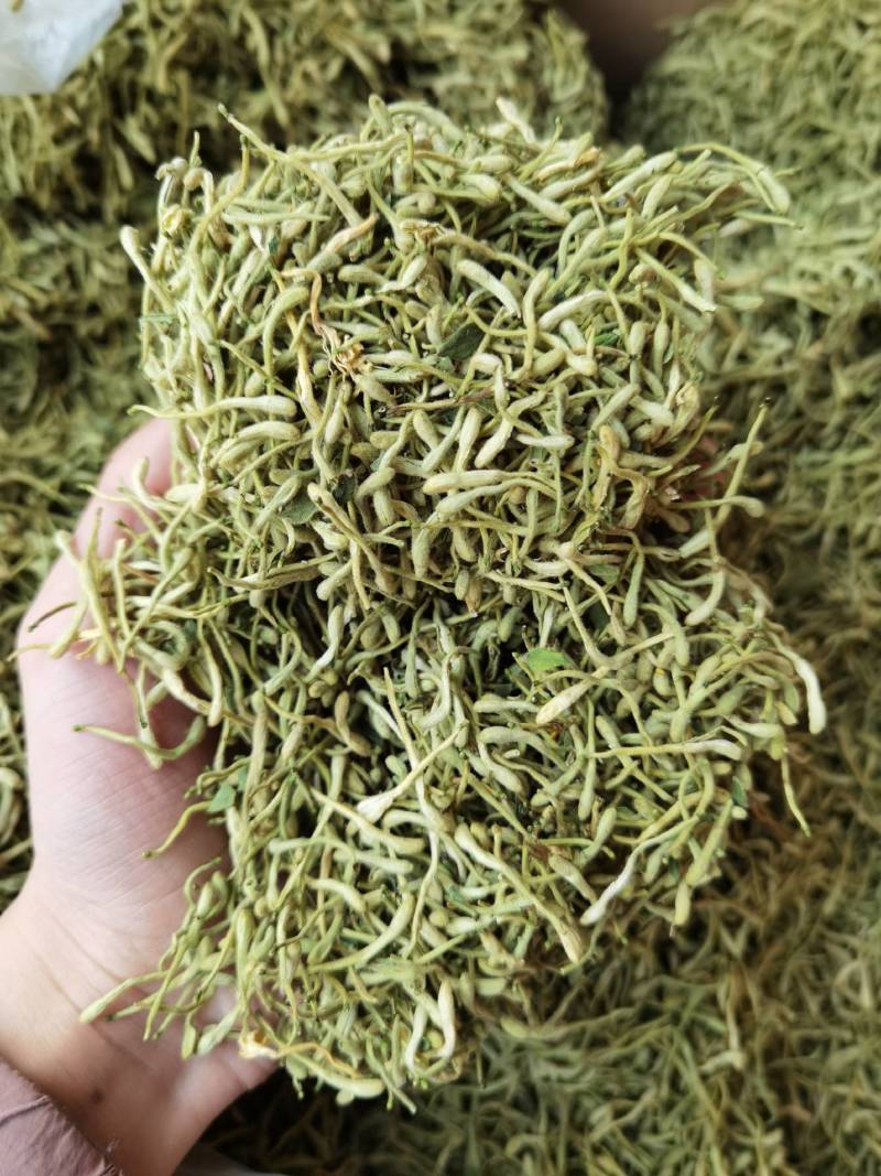 金银花山东湖南银花各种规格二花产地直销品质保证